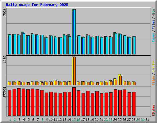 Daily usage for February 2025