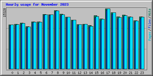 Hourly usage for November 2023