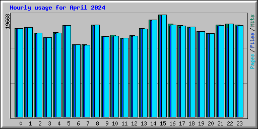 Hourly usage for April 2024