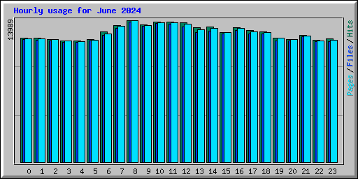 Hourly usage for June 2024