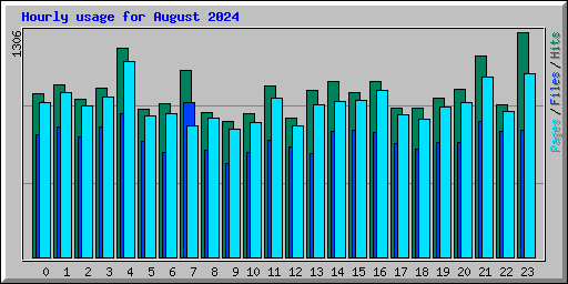 Hourly usage for August 2024