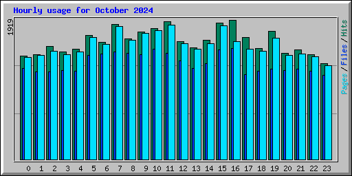 Hourly usage for October 2024