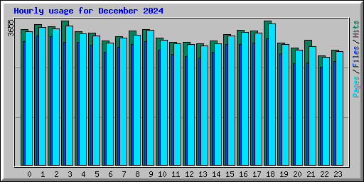 Hourly usage for December 2024