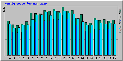 Hourly usage for May 2025