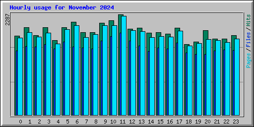 Hourly usage for November 2024