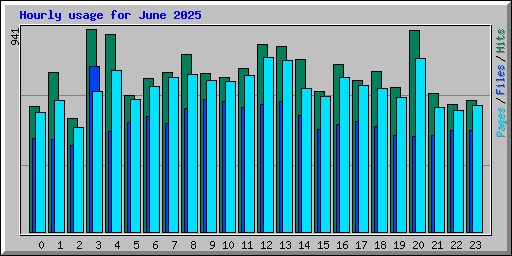 Hourly usage for June 2025