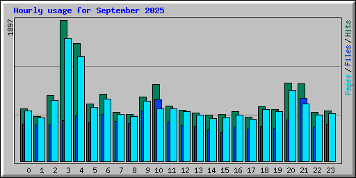 Hourly usage for September 2025