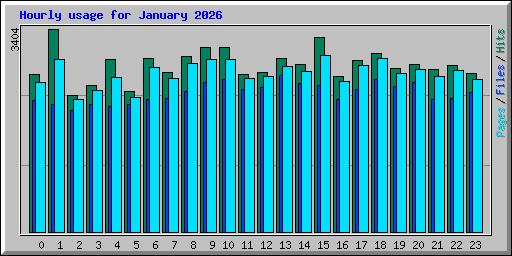 Hourly usage for January 2026