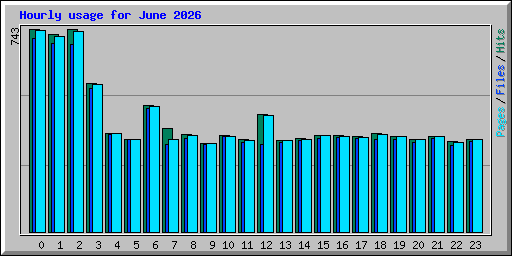 Hourly usage for June 2026