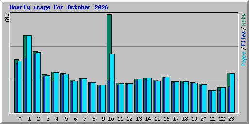Hourly usage for October 2026